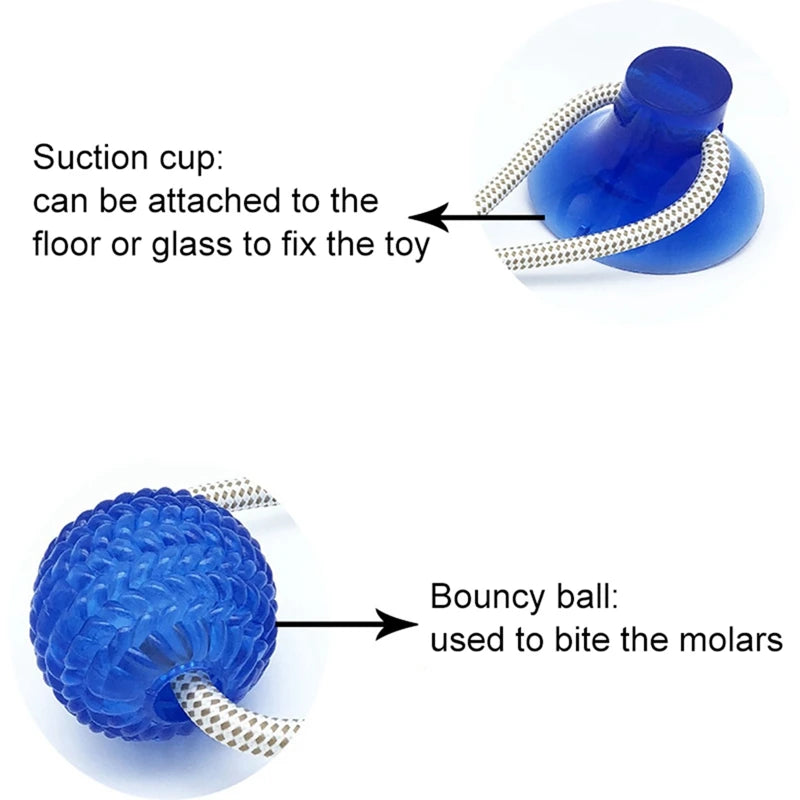Interactive Suction Cup Ball Toy
