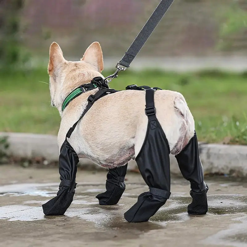Waterproof Dog Boot Suspender Boots