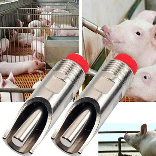 Stainless Steel Automatic Nipple Drinking for Pig
