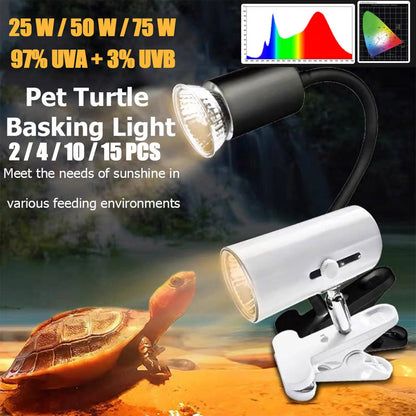 Reptile Basking Light Bulbs