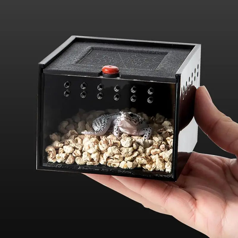 Acrylic Reptile Breeding Box