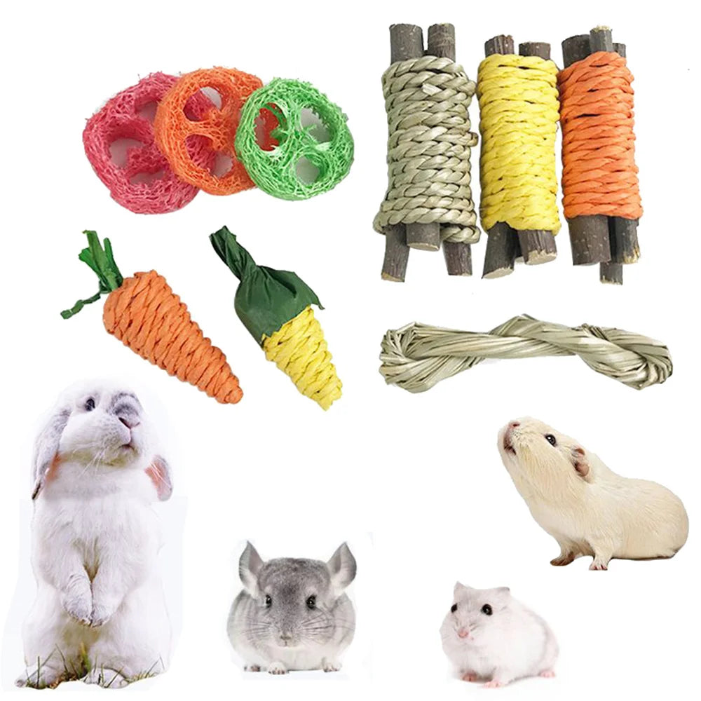 Small Animals Chew Toy