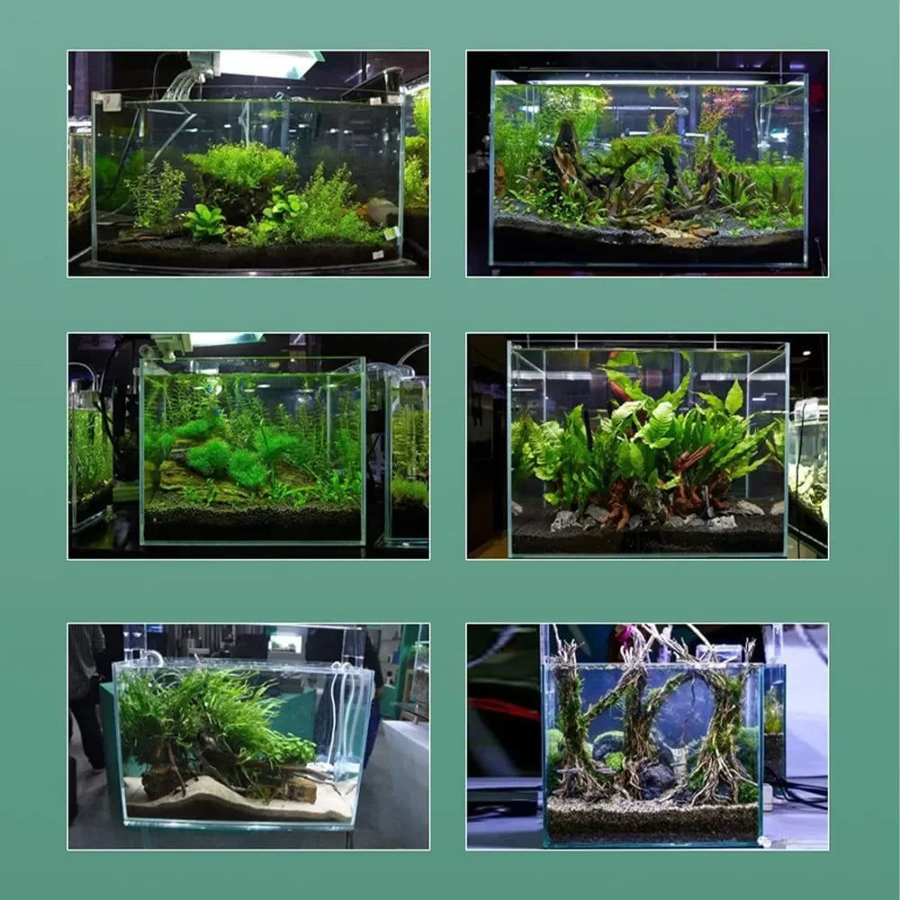 Mini Aquarium With Accessories
