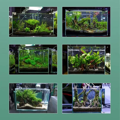 Mini Aquarium With Accessories