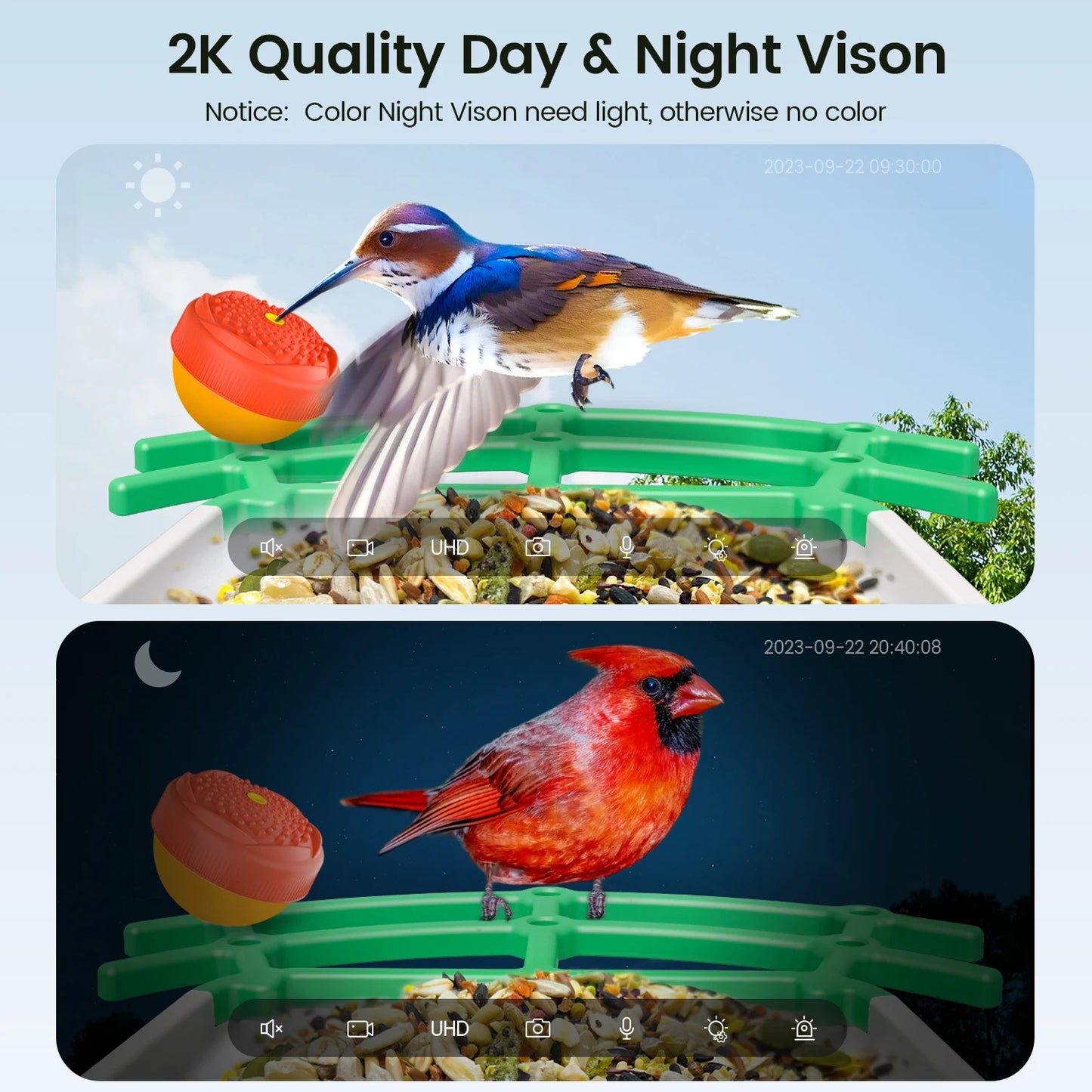 Wireless Outdoor Bird Feeder with Night Vision Camera
