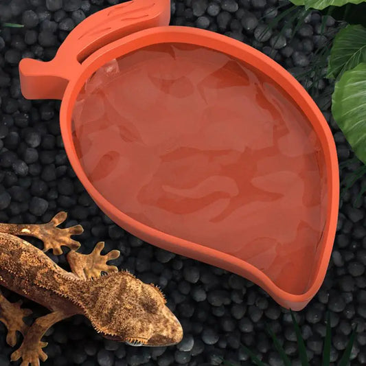 Mango Shape Reptile Food Or Water Bowl