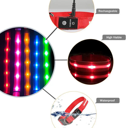 Rechargeable LED Dog Collar