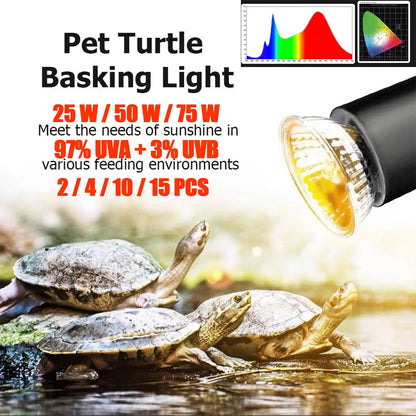 Reptile Basking Light Bulbs
