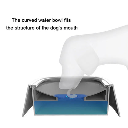 Water Bowl Without Spill Drinking