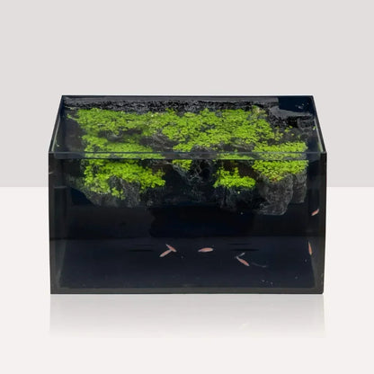 8 Gallon LED Curved Glass Aquarium Kit