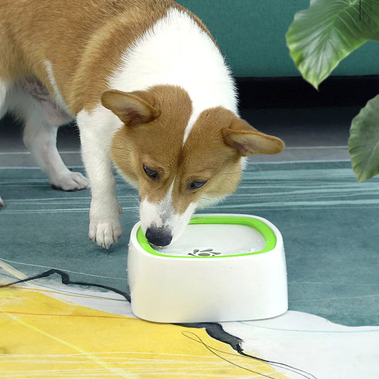 Water Bowl Without Spill Drinking